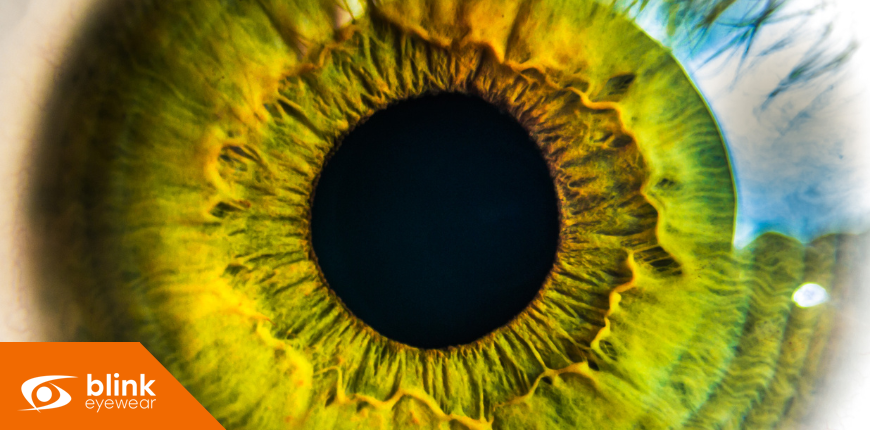 What to Expect During a Comprehensive Eye Exam at Blink Eyewear in Calgary